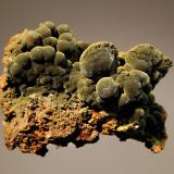 Mottramite
Ojuela Mine, Level 35, Mapimi, Durango, Mexico
3.8 x 5.2 cm.
Dark green, botryoidal mottramite on limonitic matrix from the find in 2011. (Author: crosstimber)