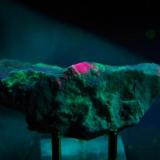 Tugtupita con Albita - Fluorescente
Kuannersuit, Ilimaussuq, Narsaq, Kitaa, Groenlandia
80 x 35 x 28 mm
Con luz UV onda corta. (Autor: Juan María Pérez)