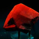 Calcita - Fluorescente
Las Cruces, Dona Ana Co, New Mexico, EEUU
52 x 57 x 54 mm
Calcita es roja. (Autor: Juan María Pérez)