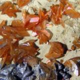 Siderite
Las Cruces mine, Gerena, Seville, Andalusia, Spain
FOV 5 mm
Siderite crystals and a curious biogenic galena developed in a fossil shell in the Las Cruces gossan. (Author: Cesar M. Salvan)