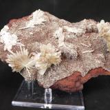 Hemimorphite, Hydrozincite 
Santa Eulalia, Mexico
20 x 12 x 6 cm

With Limonite (Author: Don Lum)