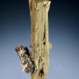 Elpidite
Poudrette Quarry, Mont Saint-Hilaire, Monteregie, Quebec, Canada
1.0 x 5.0 cm.
Elongated bundle of pale tan crystals in parallel growth associated with pyrite and tiny white albite crystals. (Author: crosstimber)