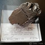 Meteorito fragmento
Campo del cielo / Argentina
3,9 x 2,3 x 2,1
Fragmento de 51.2 gramos. (Autor: Celso)