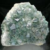 Fluorite
White&rsquo;s Level, Middlehope Shield Mine, Weardale, England
19x17x6 cm overall, largest crystal 2.5 cm.
A very large find of green fluorite specimens occurred at this mine in 1818, and is the first recorded find of specimens in the Weardale area. Specimens can still occasionally be found offered for sale, though the location is usually given incorrectly as "Heights Mine" and now "Rogerley." (Author: Jesse Fisher)