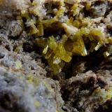 Pyromorphite.
Barstows Trench, Roughton Gill, Caldbeck Fells, Cumbria, England, UK.
Pyromorphite to 4 mm (Author: nurbo)