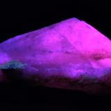 Calcita - Fluorescente.
Terlingua District, Brewster Co., Texas, USA
89 x54 x 36 mm
Luz UV onda larga. (Autor: Daniel C.M.)