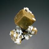 Siderite
Poudrette Quarry, Mont Saint-Hilaire, Monteregie, Quebec, Canada
2.2 x 2.6 cm.
Tan rhombs of siderite sprinkled with small dolomite crystals. (Author: crosstimber)