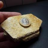 OrtoclasaSanto Tirso, Douro Litoral, Porto District, Porto Metropolitan Area, Norte, Portugal9 x 6 cm. (Autor: javier ruiz martin)