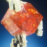 Grossular (var. Hessonite) on Diopside
Asbestos Mine, Eden Mills, Vermont, USA
1.3 cm across

Jeff Scovil photo (Author: John Medici)