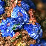 Azurite and Malachite on Limonite covered Quartz.
M’Cissi, Er Rachidia, Morocco
2mm x 2mm (Author: Mark Ost)