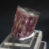 Tourmaline  var Blue Cap
Pala Chief Mine, Pala, San Diego County, California, USA
6.2 x 4.5 cm (Author: Don Lum)