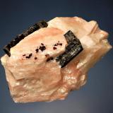 Fluoro-richterite
Essonville roadcut, Wilberforce, Halliburton Co., Ontario, Canada
6.5 x 9.0 cm.
Black fluoro-richerite to 4 cm in length embedded in pinkish-white calcite with small, gemmy brown phlogopite crystals. Collected 7-21-99. (Author: crosstimber)