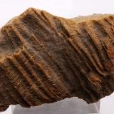 Aragonito ( en la cavidad de un fósil )  Reverso -
Torallola - Conca de Dalt - Pallars Jussà - Lleida - Catalunya - España - 
11,9  x 7,0 x 6,7 cm (Autor: Martí Rafel)