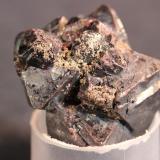 Cuprite, Silver
Rubtsovskiy Mine, Altaiskiy Krai, Siberia, Russia
3.3 x 3.1 cm (Author: Don Lum)