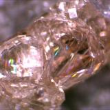 Topaz
Wah Wah Mountains, Beaver County, Utah,USA
1cm x.5cm (Author: Mark Ost)