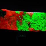 Calcita con Willemita - Fluorescente
Franklin, Sussex Co, New Jersey, EEUU
140 x 75 x 25 mm
Bajo UV de OC la Calcita es roja y la Willemita verde. Vista entre cortes. (Autor: Juan María Pérez)