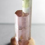 Elbaita (miembro del grupo de la turmalina)
Minas Gerais, Brasil
15 x 5 mm.
Una elbaita bicolor (verde y rosada) que parece un agregado de dos cristales con distinta altura. (Autor: prcantos)