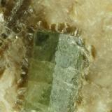 Apatite in quartz.
Carrock Mine, Carrock Fell, Caldbeck Fells, Cumbria, UK.
6 mm crystal on 65 mm specimen.
 (Author: Ru Smith)