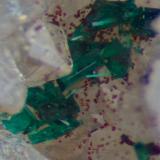 Brochantite crystals on quartz, with carmine spheroids of carminite?
Roughton Gill, Caldbeck Fells, Cumbria, UK.
16 mm specimen. Field of view about 2 mm. (Author: Ru Smith)