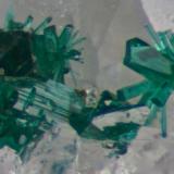 Brochantite crystals on quartz.
Roughton Gill, Caldbeck Fells, Cumbria, UK.
16 mm specimen. Field of view about 2 mm. (Author: Ru Smith)