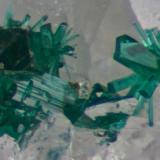 Brochantite crystals on quartz.
Roughton Gill, Caldbeck Fells, Cumbria, UK.
16 mm specimen. Field of view about 2 mm. (Author: Ru Smith)