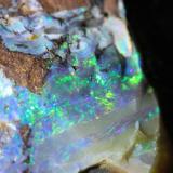 Opal
Queensland, Australia
15 x 6.3 x 5 cm (Author: Don Lum)