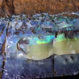 Opal
Queensland, Australia
15 x 6.3 x 5 cm
Cutting boulder opal can be really messy with the ironstone turning to mud under the grinding wheels. (Author: Don Lum)