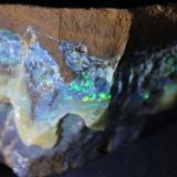 Opal
Queensland, Australia
15 x 6.3 x 5 cm (Author: Don Lum)