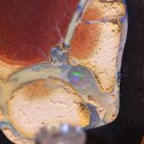 Opal
Yowah, Queensland, Australia
6.5 x 4 cm
Yowah Nut (Author: Don Lum)