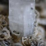 Fluorapatito + Siderita + Ferberita 
Panasqueira, Covilhã, Castelo Branco, Portugal
Detalle (Autor: José Luis Zamora)