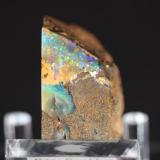 Opal
Quilpie, Queensland, Australia
4.2 x 3.9 cm
Boulder Opal (Author: Don Lum)