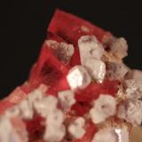 Rhodochrosite, Fluorite, Fluorapatite, Pyrite, Quartz
Sweet Home Mine, Steve’s Pocket, Colorado, USA
3.5 x 3.1 cm (Author: Don Lum)