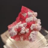 Rhodochrosite, Fluorite, Fluorapatite, Pyrite, Quartz
Sweet Home Mine, Steve’s Pocket, Colorado, USA
3.5 x 3.1 cm (Author: Don Lum)