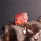 Fluorite, Smoky Quartz
Pointe Kurtz, Argentière Glacier, Mont Blanc, Chamonix, France
9.0 x 6 cm (Author: Don Lum)