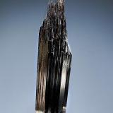 Schorl
Corcunda Mine, Governador Valadares, Minas Gerais, Brazil
1.7 x 6.6 cm.
A lustrous black schorl crystal featuring an unusual fibrous termination. (Author: crosstimber)
