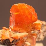 Wulfenite
Red Cloud Mine, Yuma County, Arizona, USA
2.5 x 2.2 cm
ex-Schortmann
ex-Bentley (Author: Don Lum)