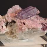 Apatite, Tourmaline, Lepidolite, Albite
Pederneira Mine, Minas Gerais, Brazil
3.8 x 2.7 cm
ex- Korpi (Author: Don Lum)