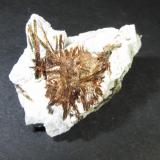 Astrofilita
Khibiny Massif, Península Kola, Murmanskaja Oblast’, Norte de Rusia
4 x 2’5 cm.
Agregado estrellado de cristales aciculares. (Autor: prcantos)