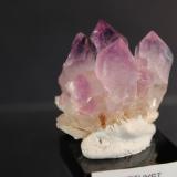 Quartz (var Amethyst)
Jacksons Crossroads, Wilkes County, Georgia, USA
3.5 x 3 cm (Author: Don Lum)