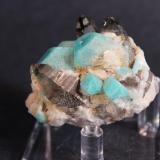 Amazonite, Smoky Quartz, Albite
Dreamtime Claim, Colorado, USA
5 x 4.8 cm (Author: Don Lum)