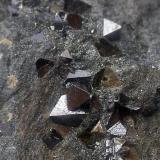 Magnetita
Coto Minero San Guillermo, Mina Santa Bárbara, Valuengo, Jerez de los Caballeros, Badajoz, Extremadura, España
Cristales de 3 mm. aproximadamente (Autor: Cristalino)