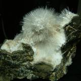 Natrolite + Laumontite
Sgurr nam Fiadh, Isle of Skye, Scotland, UK
8 cm x 8 cm x 4 cm
Natrolite or mesolite crystals to 12 mm on white crystals that used to be laumontite, but have most likely dehydrated as the specimen has been stored dry. I have had similar material tested from this locality and it proved to be natrolite - courtesy of Alan Dyer - but not this same material.
This locality is 5km south of Talisker Bay and - you guessed it - very difficult to access !
 Self-collected 2006.
 Self-collected 2004. (Author: Mike Wood)