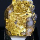 Gold
Red Lake Mine, Balmertown, Red Lake Gold District, Kenora District, Ontario, Canada
3.1 x 2.5 cm
a sheet of leaf gold on quartz matrix. (Author: Tim Blackwood)
