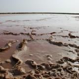 Gypsum, edge of small natural evaporating pan.
Bar Al Hickman, Oman. (Author: Ru Smith)