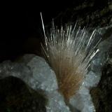 Natrolite + Analcime
Oisgill Bay, Isle of Skye, Scotland, UK
10mm crystals
Natrolite crystals to 10mm on small analcime crystals in a gas cavity in basalt lava. This material has been analysed.
Self-collected 2004. (Author: Mike Wood)