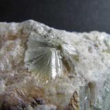 Pirofilita
St. Niklaus, Riederalp, Valais, Suiza
1 x 1 cm. el grupo de cristales
Otro detalle de la misma pieza: un agregado estrellado. (Autor: prcantos)