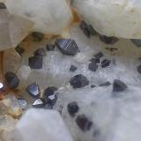 Anatasa
Cáceres, Extremadura, España
2 mm aprox. el cristal de mayor dimensión (Autor: Cristalino)