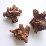 Aragonitos
Ocio, Álava, País Vasco España
son tamaño 4cm x 4 cm (Autor: Tomas Ruiz de Arbulo Saez)