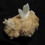 Thomsonite + Apophyllite
Moonen Bay, Isle of Skye, Scotland, UK
26mm x 24mm x 20mm high
&rsquo;Feathery&rsquo; masses of extremely thin thomsonite crystals, somewhat yellowed by dirt or staining. Associated with apophyllite in pyramidal terminated crystals to 7mm.
Self-collected 2002 (Author: Mike Wood)