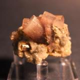 Fluorapatite
Panasqueira Mine, Fundao, Castelo Branco District, Portugal
4.8 x 4.5 cm (Author: Don Lum)